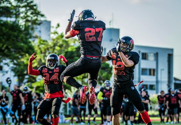 How can you make your home safe for pets in the UK?